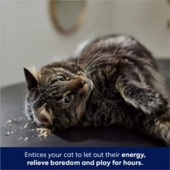 Frisco Natural Catnip & Hartz Cattraction Silver Vine & Catnip Gator Cat Scratcher Toy, Color Varies -Dog - Cat Shop 737470 PT4. AC SS1800 V1683212147