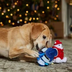 Frisco Holiday Arctic Buddies 2-in-1 Rip For Surprise Plush & Rubber Dog Toy 9 Frisco Holiday Arctic Buddies 2-in-1 Rip For Surprise Plush & Rubber Dog Toy -Dog - Cat Shop 739718 PT3. AC SS1800 V1694812848