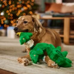 Frisco Holiday Elf In A Tree Bungee Plush Squeaky Dog Toy -Dog - Cat Shop 739846 PT3. AC SS1800 V1695047600