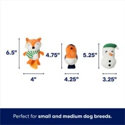 Frisco Holiday Melting Snow Globe Hide & Seek Puzzle Plush Squeaky Dog Toy -Dog - Cat Shop 739910 PT2. AC SS1800 V1694814063