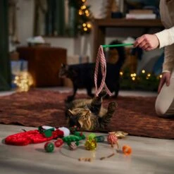 Frisco Holiday Cozy Christmas Sack Variety Pack Cat Toy With Catnip -Dog - Cat Shop 740054 PT3. AC SS1800 V1694812461