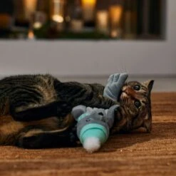 Frisco Holiday Interactive Flopping Seal Electronic Cat Toy With Catnip -Dog - Cat Shop 740102 PT4. AC SS1800 V1695043876