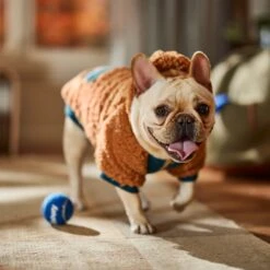 Frisco Wubby Textured Fleece Dog & Cat Hoodie W/ Pocket -Dog - Cat Shop 742510 PT7. AC SS1800 V1692377765