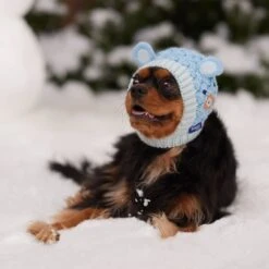 Frisco Nordic Ears Sweater Knit Dog & Cat Hat -Dog - Cat Shop 745710 PT5. AC SS1800 V1695671059