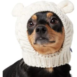Frisco Polar Bear Sweater Knit Dog & Cat Hat -Dog - Cat Shop 745742 PT2. AC SS1800 V1694793756
