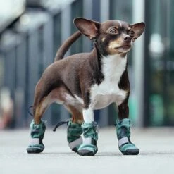 Canada Pooch Soft Shield Dog Boots -Dog - Cat Shop 803006 PT4. AC SS1800 V1682088022