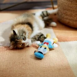 Disney Mickey Mouse Plush Kicker Cat Toy With Catnip + 3 Items -Dog - Cat Shop 929462 PT6. AC SS1800 V1690897484