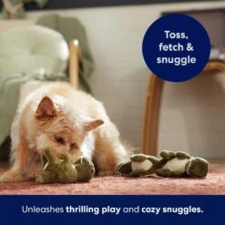 Frisco Volcano Hide & Seek Puzzle Plush Squeaky Dog Toy Refills, 3 Count & Frisco Volcano Hide & Seek Puzzle Plush Squeaky Dog Toy -Dog - Cat Shop 962078 PT4. AC SS1800 V1694782978