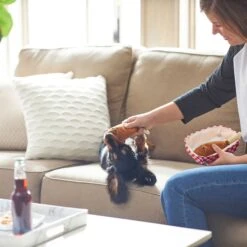 Frisco Corndog Interactive Plush Squeaky Dog Toy & Frisco Guacamole Hide & Seek Puzzle Plush Squeaky Dog Toy -Dog - Cat Shop 962086 PT3. AC SS1800 V1694782979