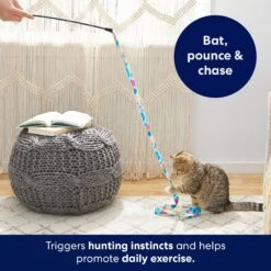 Frisco Fabric Teaser Wand Cat Toy & Frisco Bird With Feathers Teaser Wand Cat Toy With Catnip -Dog - Cat Shop 962094 PT3. AC SS1800 V1694782977