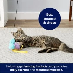 Frisco Fabric Teaser Wand Cat Toy & Frisco Bird With Feathers Teaser Wand Cat Toy With Catnip -Dog - Cat Shop 962094 PT8. AC SS1800 V1694782976