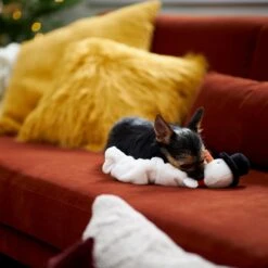 Frisco Holiday Reindeer Bungee Plush Squeaky Dog Toy & Frisco Holiday Snowman Bungee Plush Squeaky Dog Toy 17 Frisco Holiday Reindeer Bungee Plush Squeaky Dog Toy & Frisco Holiday Snowman Bungee Plush Squeaky Dog Toy -Dog - Cat Shop 986126 PT8. AC SS1800 V1698346274