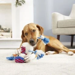 Frisco Holiday Snowman Plush With Rope Squeaky Dog Toy & Frisco Holiday Reindeer Plush With Rope Squeaky Dog Toy -Dog - Cat Shop 986174 PT4. AC SS1800 V1698258345