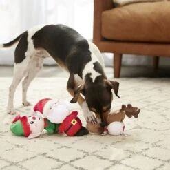 Frisco Holiday Santa's Helpers Plush Squeaky Dog Toy, 3 Count & Frisco Holiday Lights Plush With Rope Squeaky Dog Toy -Dog - Cat Shop 986206 PT4. AC SS1800 V1698257788