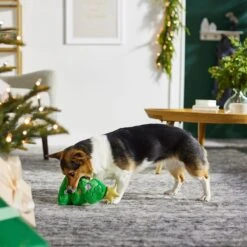 Frisco Holiday Santa's Helpers Plush Squeaky Dog Toy, 3 Count & Frisco Holiday Tree Thin Plush Squeaky Dog Toy -Dog - Cat Shop 986222 PT8. AC SS1800 V1698257791