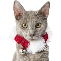 Frisco Holiday Dog & Cat Santa Hat, 1 Count & Frisco Jingle Bells Dog & Cat Holiday Collar With Bells, 1 Count -Dog - Cat Shop 986254 PT6. AC SS1800 V1698258115