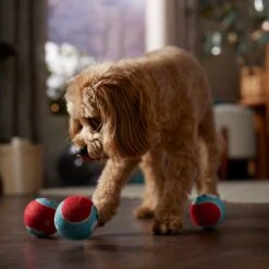 Frisco Holiday Ho Ho Ho Fetch Squeaky Tennis Ball Dog Toy & Frisco Holiday Arctic Friends Stuffing-Free Skinny Plush Squeaky Dog Toy -Dog - Cat Shop 986310 PT4. AC SS1800 V1698257790